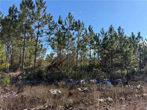 0 (lot 13) Elmer Thrift Road, Waycross, GA 31503