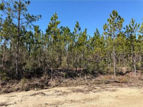 0 (lot 8) Elmer Thrift Road, Waycross, GA 31503