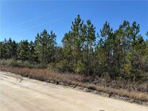 0 (lot 10) Elmer Thrift Road, Waycross, GA 31503