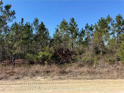 0 (lot 9) Elmer Thrift Road, Waycross, GA 31503