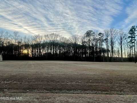 1155 Breeze Woods Avenue, Williamston, NC 27892