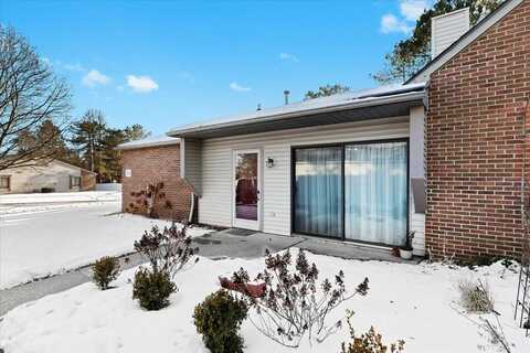 312 Spring Brooke Drive, Brighton, MI 48116