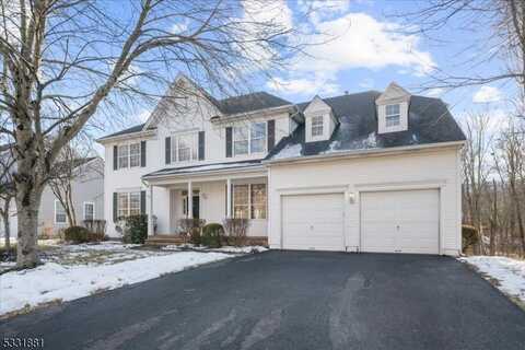 6 Millstone Ln, Readington, NJ 08889