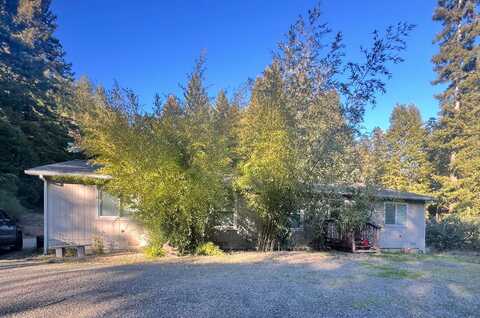 250 Gibson Creek Rd Road, Whitethorn, CA 95589