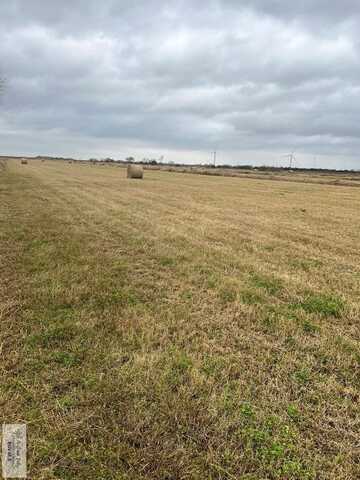 20 Acres NELSON RD., RIO HONDO, TX 78583