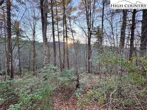 Tbd Roaring Ridge Road, Deep Gap, NC 28618