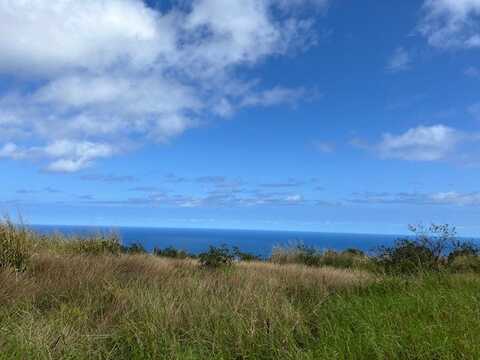 HAAKOA RD, LAUPAHOEHOE, HI 96764