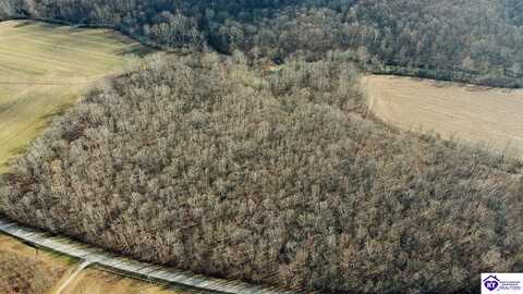 39 TRACT 2 Newton Lane, Fordsville, KY 42343