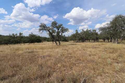 107 Nott Branch Rd, Harper, TX 78631