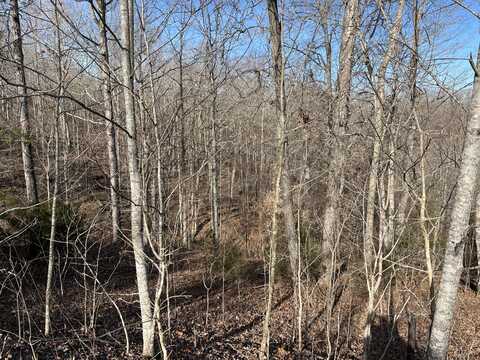 Lot 63 East Willow Point Road, Monticello, KY 42633