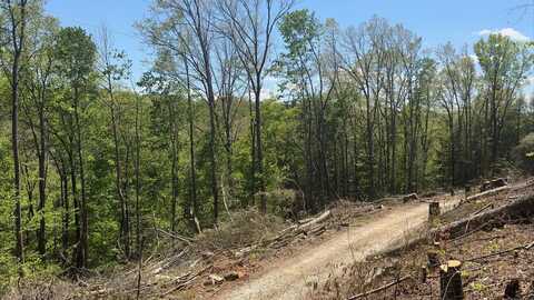 Lot 67 High Falls Road, Campton, KY 41301