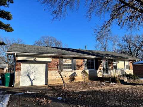 9620 Duluth Drive, Saint Louis, MO 63137