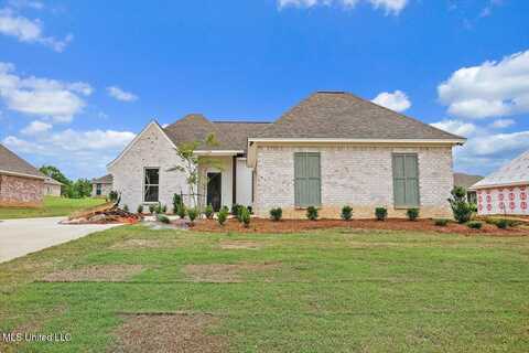227 Jasmine Cove Circle, Brandon, MS 39042