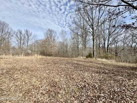 198 Tolbert Road, Coldwater, MS 38618