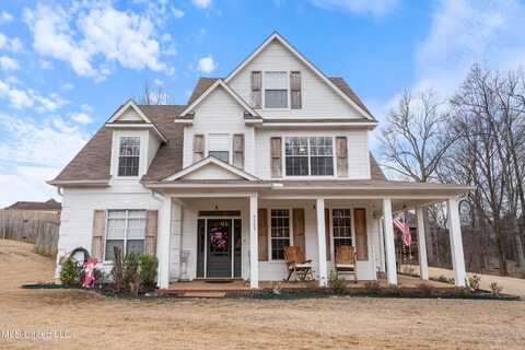 3393 Bridge Park Drive, Nesbit, MS 38651