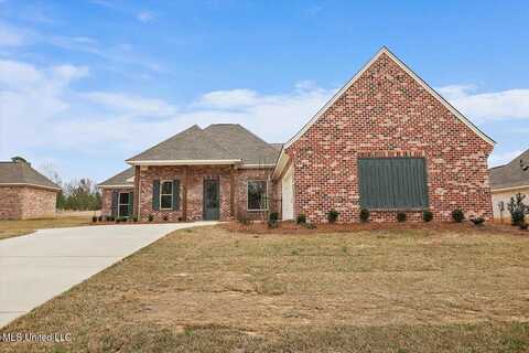 225 Jasmine Cove Circle, Brandon, MS 39042