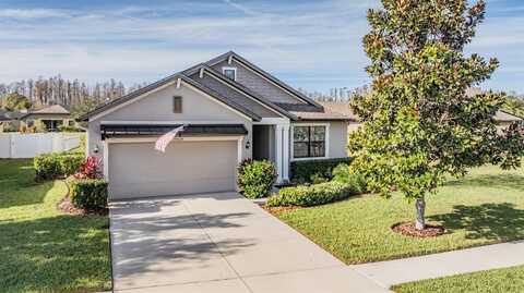 19724 POST ISLAND LOOP, LAND O LAKES, FL 34638