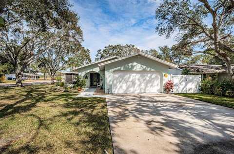 969 GULF VIEW BOULEVARD, DUNEDIN, FL 34698