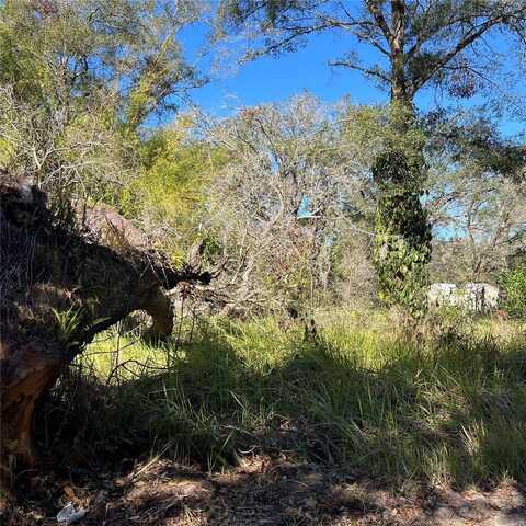 21513 DURDEN ROAD, DADE CITY, FL 33523