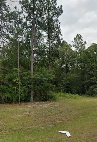 0 Buckeye Rd, Tennille, GA 31089