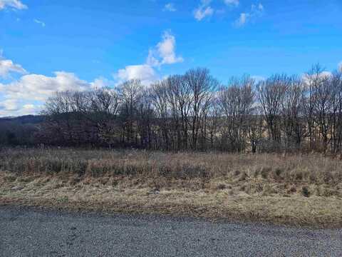 lot 954 Hidden Springs, La Valle, WI 53941