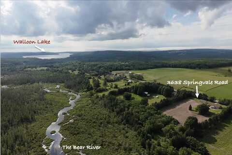 3638 Springvale, Boyne Falls, MI 49713