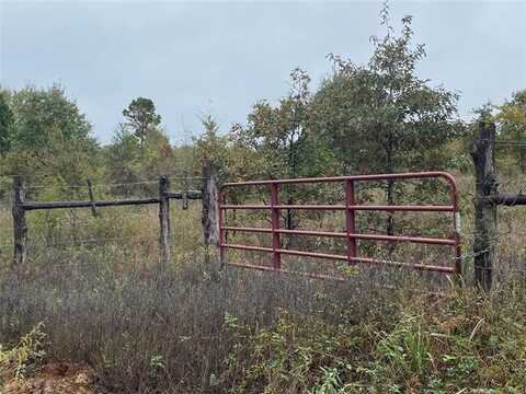 13164 S Skylark Road, Lane, OK 74555