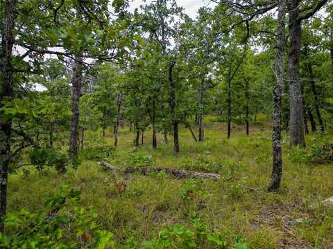 Shipman Road, Atoka, OK 74525