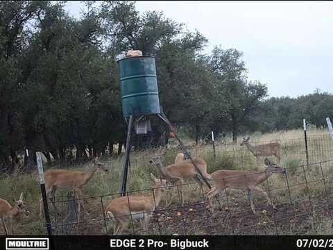 129 Big Buck Run Road, Menard, TX 76859