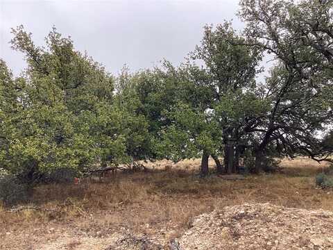 129 Big Buck Run Road, Menard, TX 76859