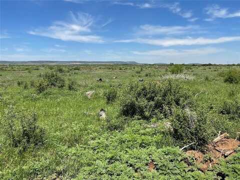 Tbd 25 acres CR 343, Merkel, TX 79536