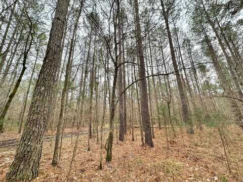 0 Forest Service Road 562, Pulaski, MS 39152