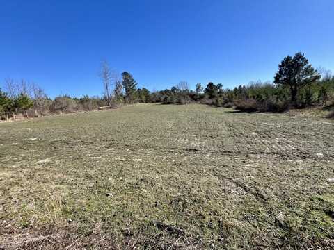 0 County Rd 32, Mollie, AL 36535