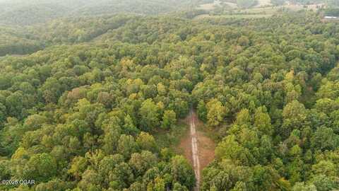 0000 Low Gap Road, Noel, MO 64854