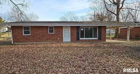 311 S Birchlane Drive, Carbondale, IL 62901