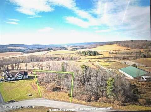 Ricks Road, New Ringgold, PA 17960