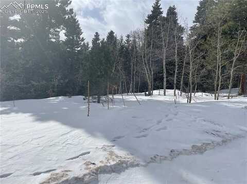 146 Gibson Road, Westcliffe, CO 81252