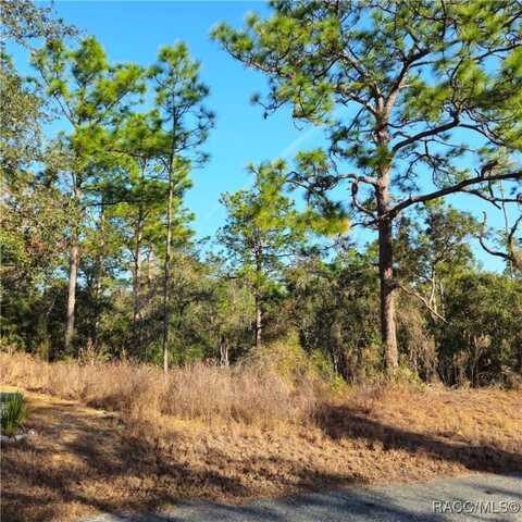 32 Cherrypalm Court, Homosassa, FL 34446