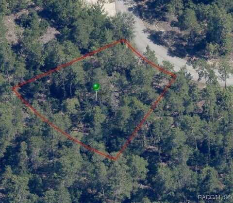 35 Tall Marigolds Court, Homosassa, FL 34446