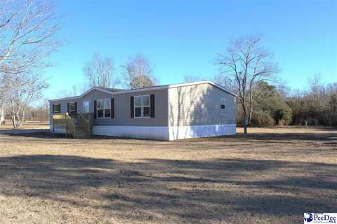 149 Blossom, Marion, SC 29571