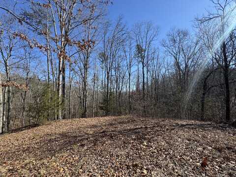 00 Fox Trail Drive, Old Fort, TN 37362