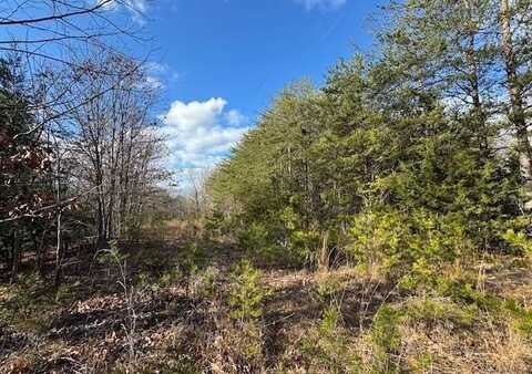 Lot 1 Tolers Ferry RD, Huddleston, VA 24104