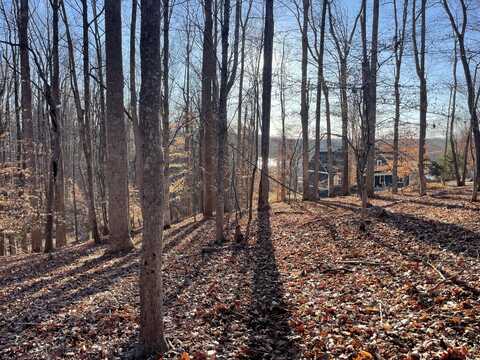 Lot 118 Brentwood LN, Moneta, VA 24121