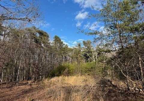 Lot 2 Tolers Ferry RD, Huddleston, VA 24104