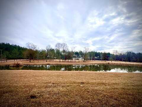 909 Montgomery Rd SW, Bogue Chitto, MS 39629