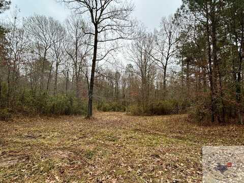 20.5 ac TBD Boggy Rd., Waskom, AR 75692