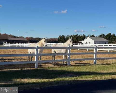 24266 SHUFELT ROAD, SEAFORD, DE 19973