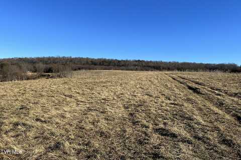 Tbd Lot 2 Old Asheville Highway, Greeneville, TN 37743