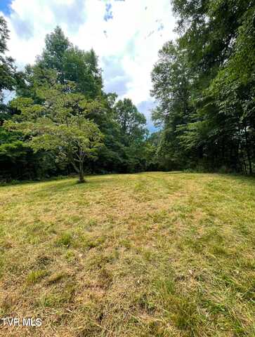 Tbd Raven Cliff Road, Erwin, TN 37650