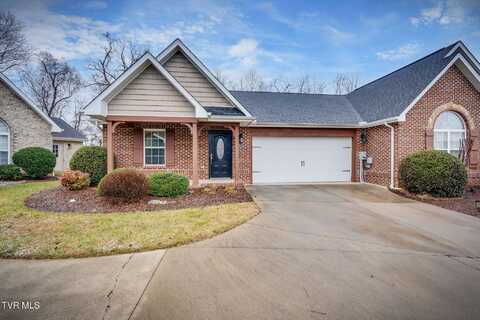 207 Bridgewater Court, Gray, TN 37615